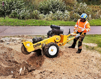 tree-surgeons-in-derby-performing-stump-grinding-removal